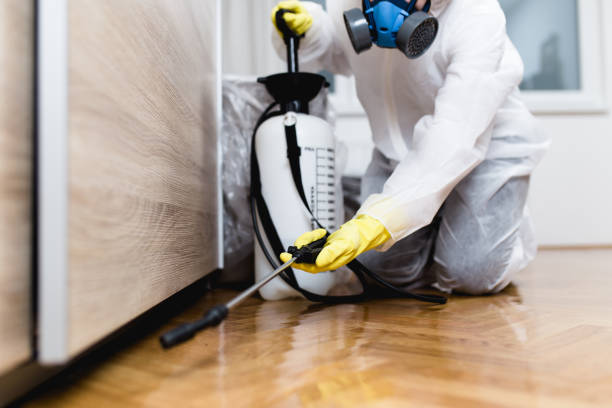 Best Wildlife Control Services  in Cheree, OK