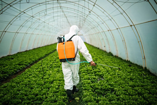Best Commercial Pest Control Services  in Cheree, OK