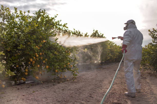 Best Pest Control Near Me  in Cheree, OK